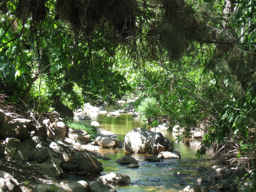 Akhisar Kayganlı Köyü Resimleri 11