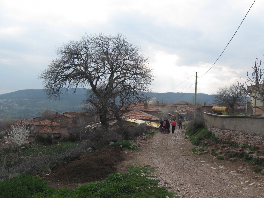 Akhisar Kayganlı Köyü Resimleri 9