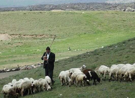 Gediz Soğuksu Köyü Resimleri 5