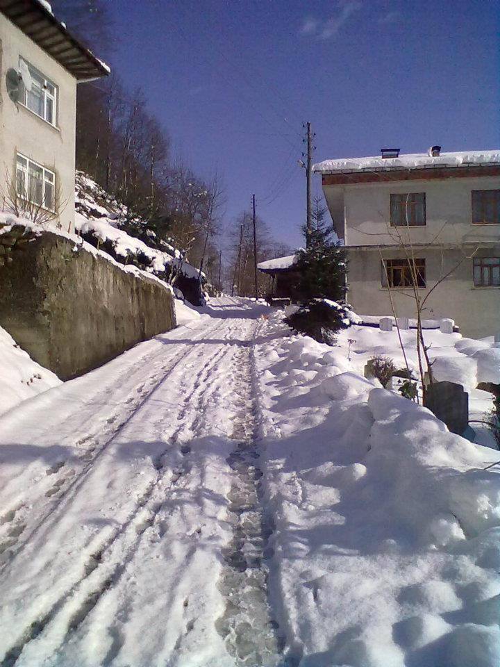 Güneysu Tepebaşı Köyü Resimleri 6