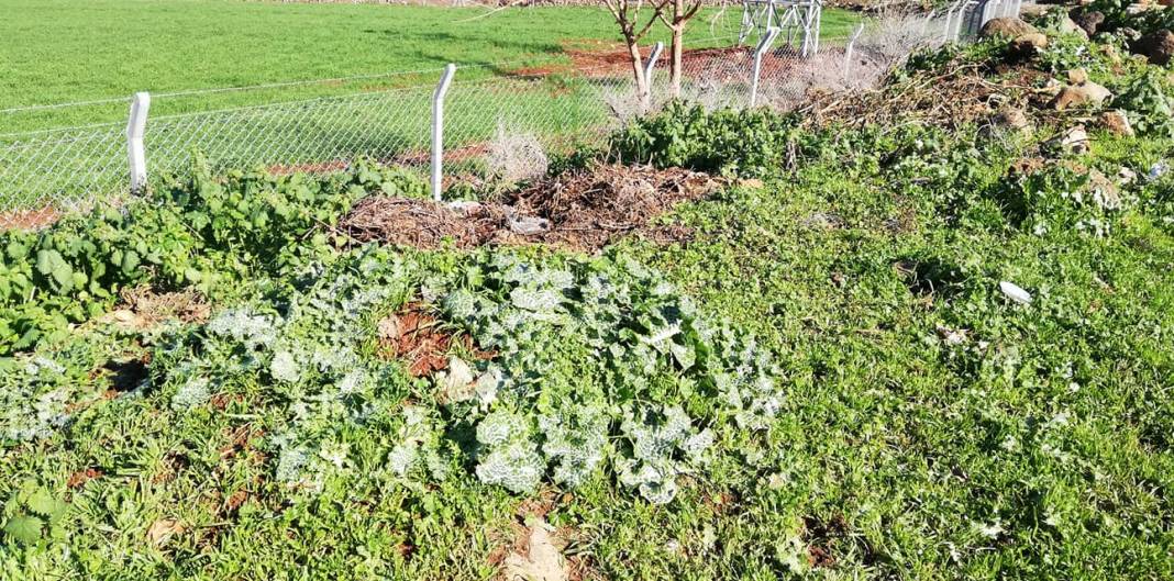 Nurdağı İncirli Köyü Resimleri 26