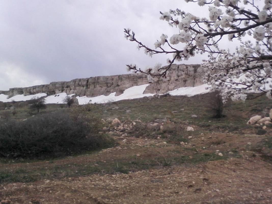 Hekimhan Dikenli Köyü Resimleri 1