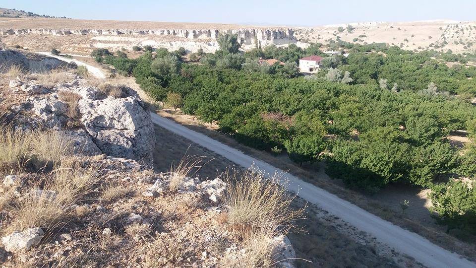 Hekimhan Dikenli Köyü Resimleri 4