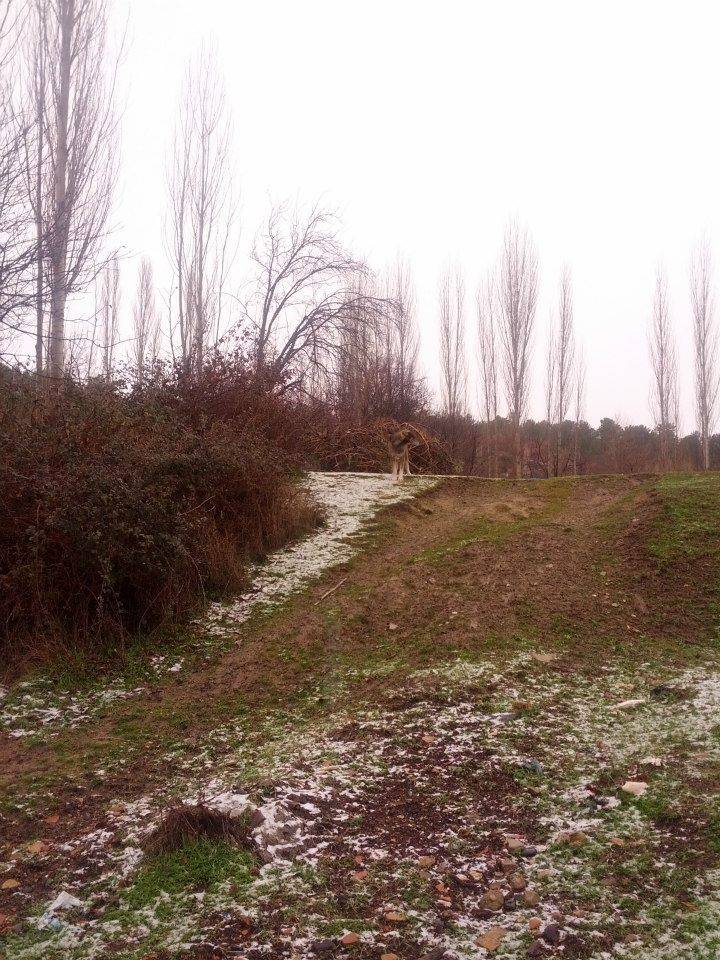 Gediz Sumaklı Köyü Resimleri 4