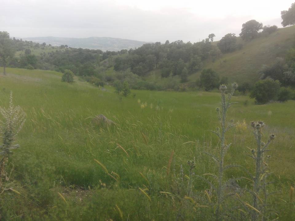 Gediz Tepepınar Köyü Resimleri 2