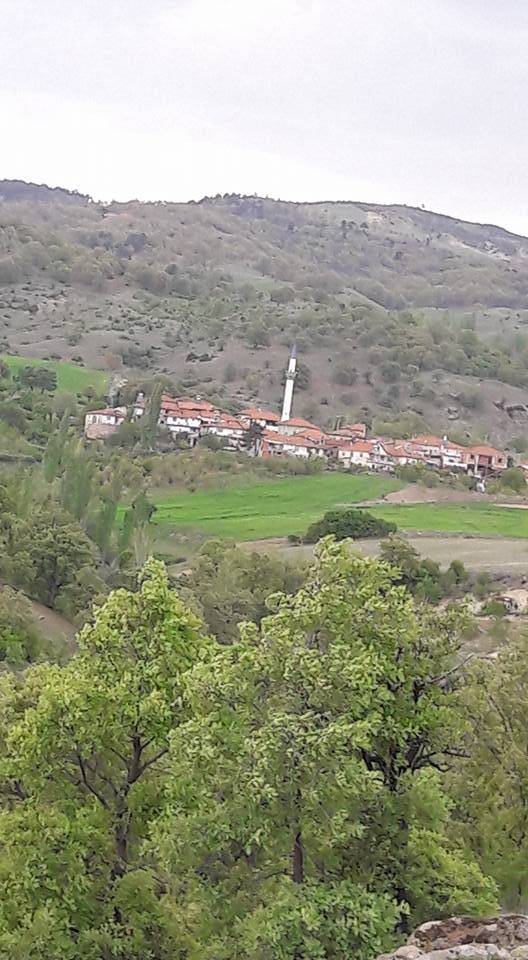 Gediz Tepepınar Köyü Resimleri 3