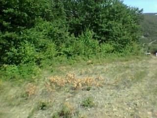 Gediz Vakıf Köyü Resimleri 2