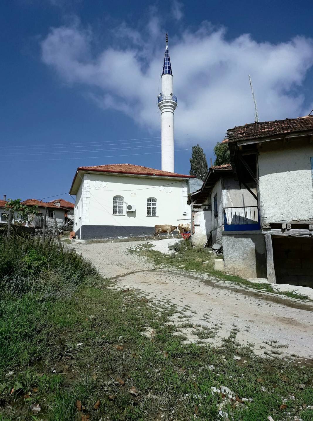 Gediz Yaylaköy Köyü Resimleri 3