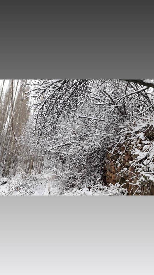 Gediz Yelki Köyü Resimleri 3