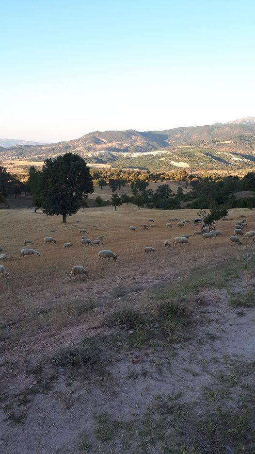 Gediz Yeşilova Köyü Resimleri 2