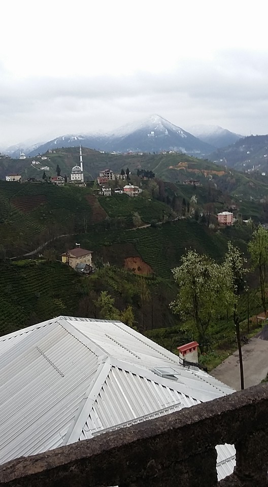 Güneysu Yenicami Köyü Resimleri 1