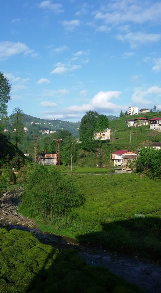 Güneysu Yenicami Köyü Resimleri 10