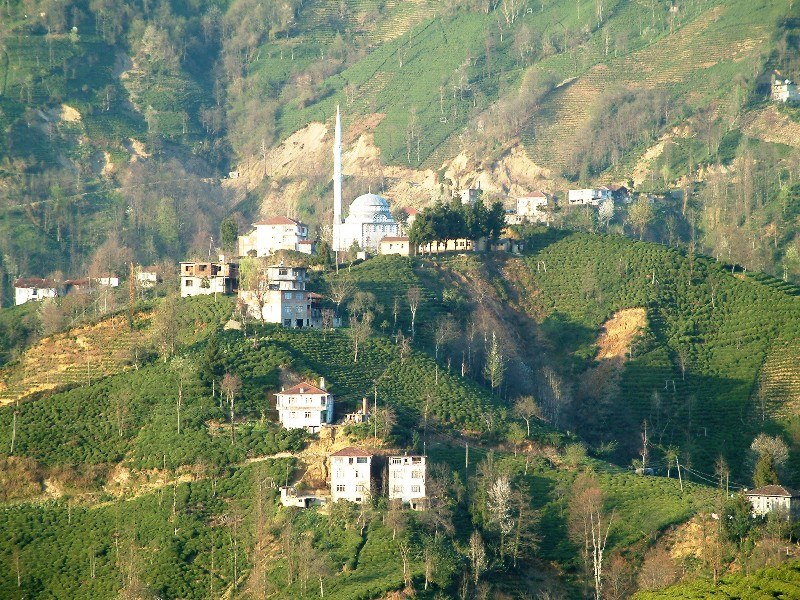 Güneysu Yenicami Köyü Resimleri 11