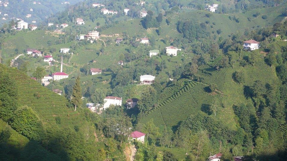 Güneysu Yenicami Köyü Resimleri 6