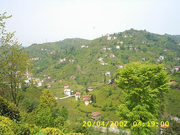 Güneysu Yenicami Köyü Resimleri 8