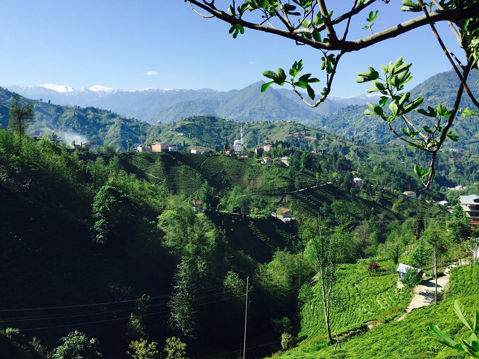 Güneysu Yenicami Köyü Resimleri 9