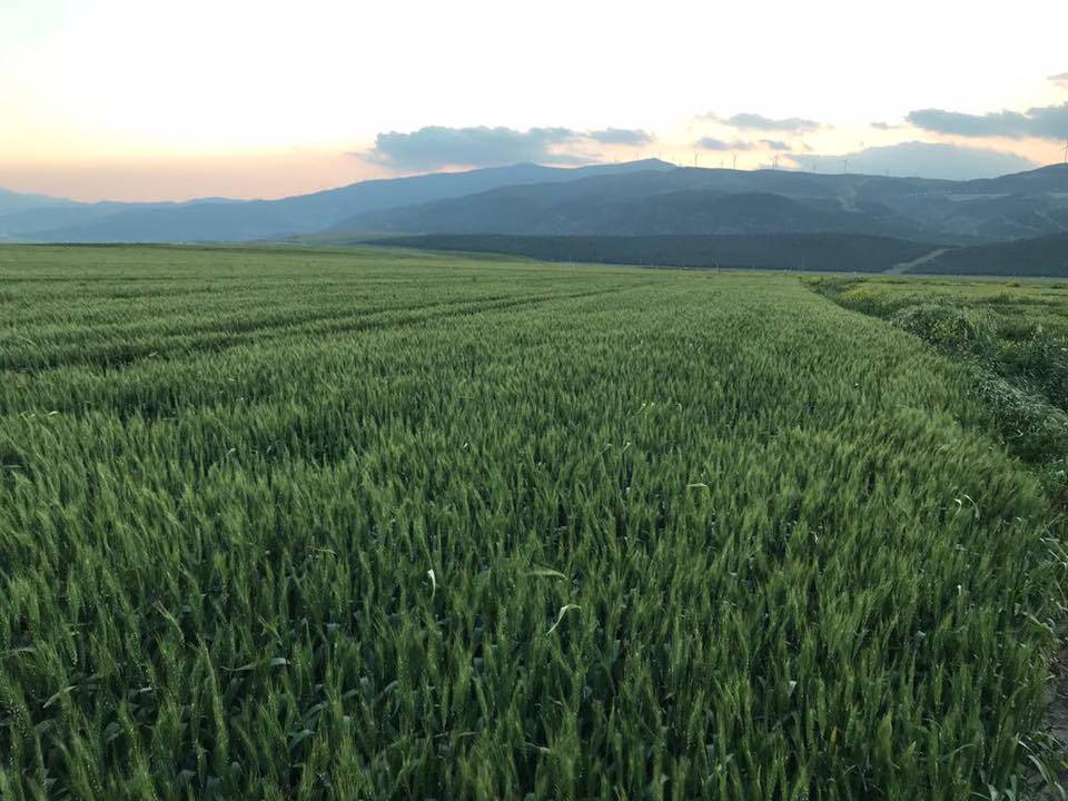 Nurdağı Kurudere Köyü Resimleri 7