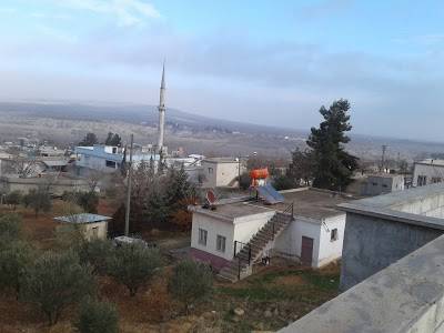 Oğuzeli Akçamezra Köyü Resimleri 1