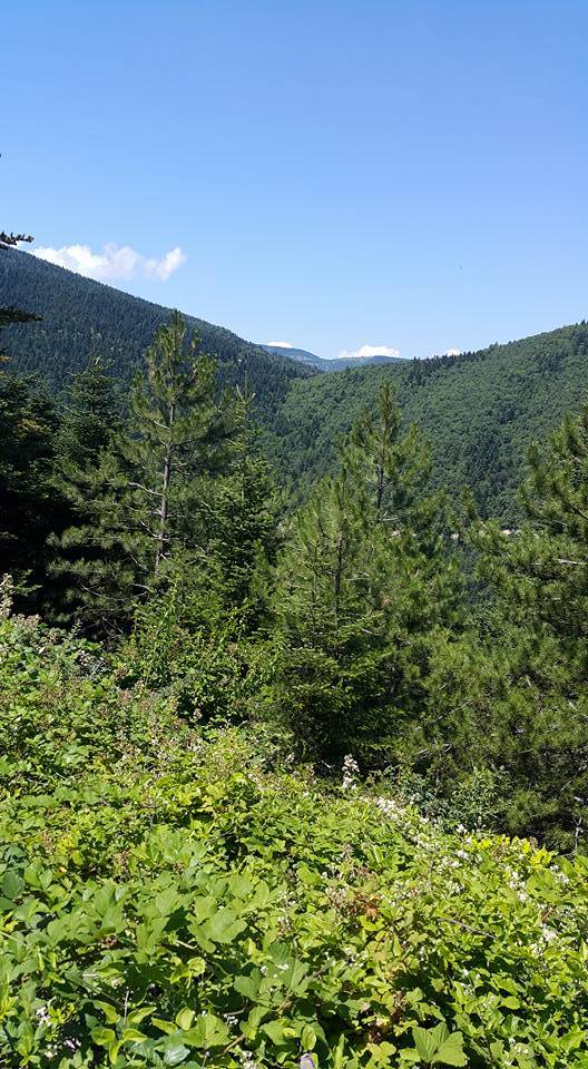 Oğuzeli Belören Köyü Resimleri 3