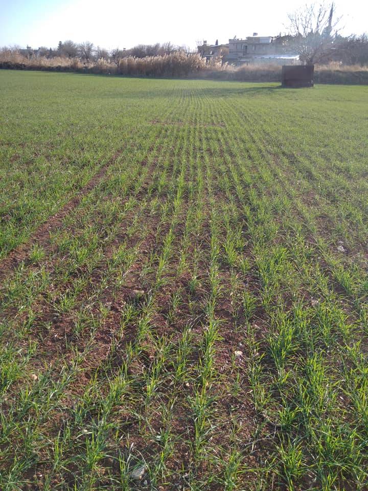 Oğuzeli Çatalsu Köyü Resimleri 4