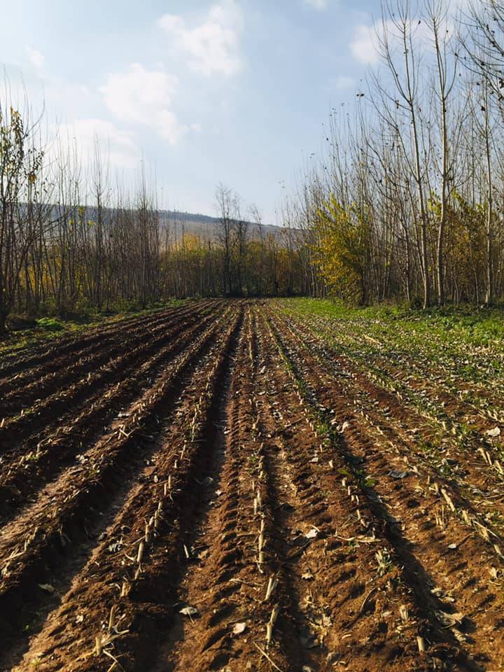 Oğuzeli Çaybaşı Köyü Resimleri 1