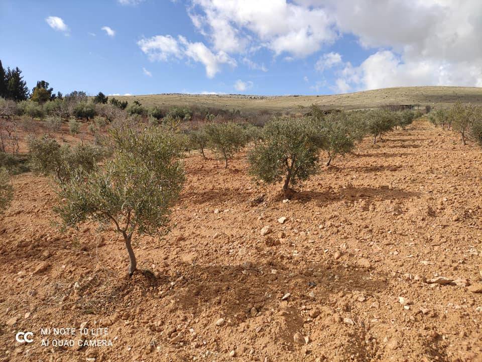 Oğuzeli Çaybaşı Köyü Resimleri 2