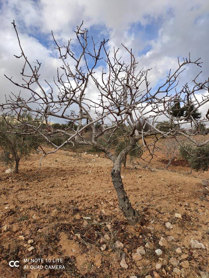 Oğuzeli Çaybaşı Köyü Resimleri 3