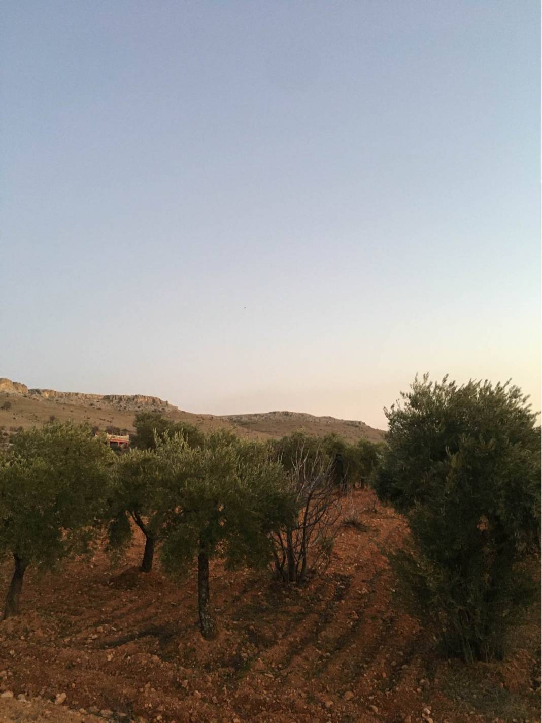 Oğuzeli Çaybaşı Köyü Resimleri 5