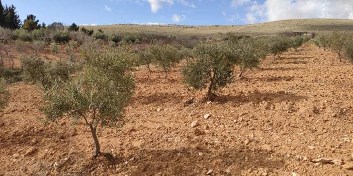 Oğuzeli Çaybaşı Köyü Resimleri