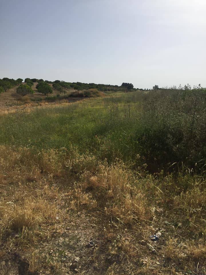 Oğuzeli Çaybeyi Köyü Resimleri 5