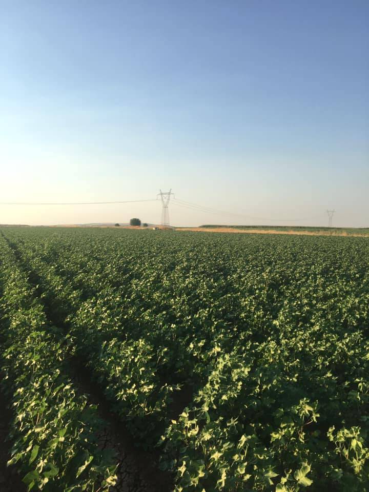 Oğuzeli Demirkonak Köyü Resimleri 4