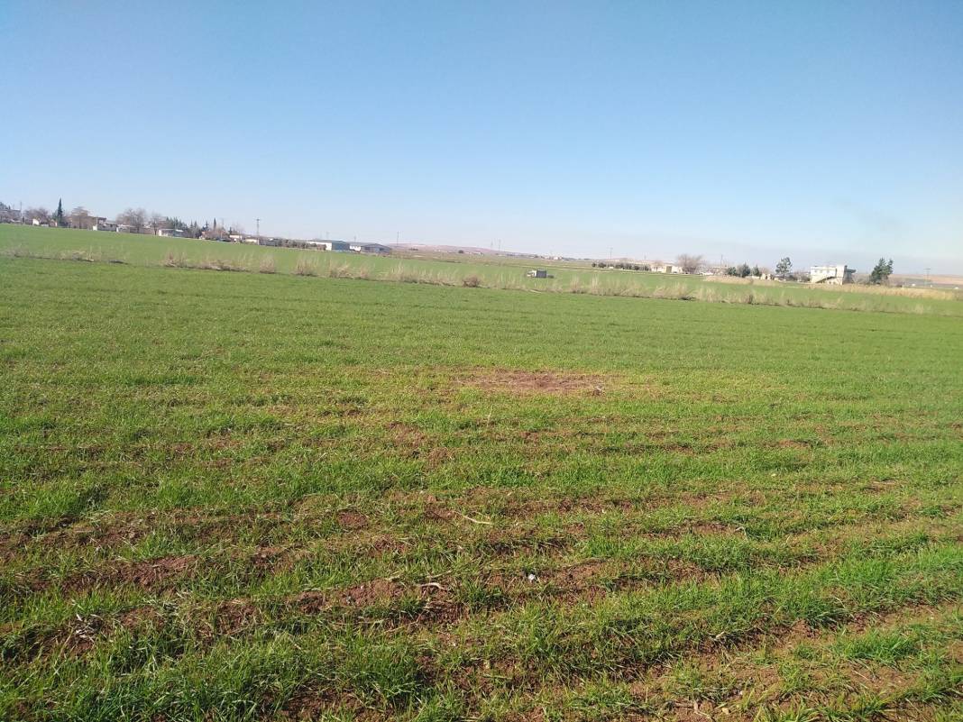 Oğuzeli Demirkonak Köyü Resimleri 5