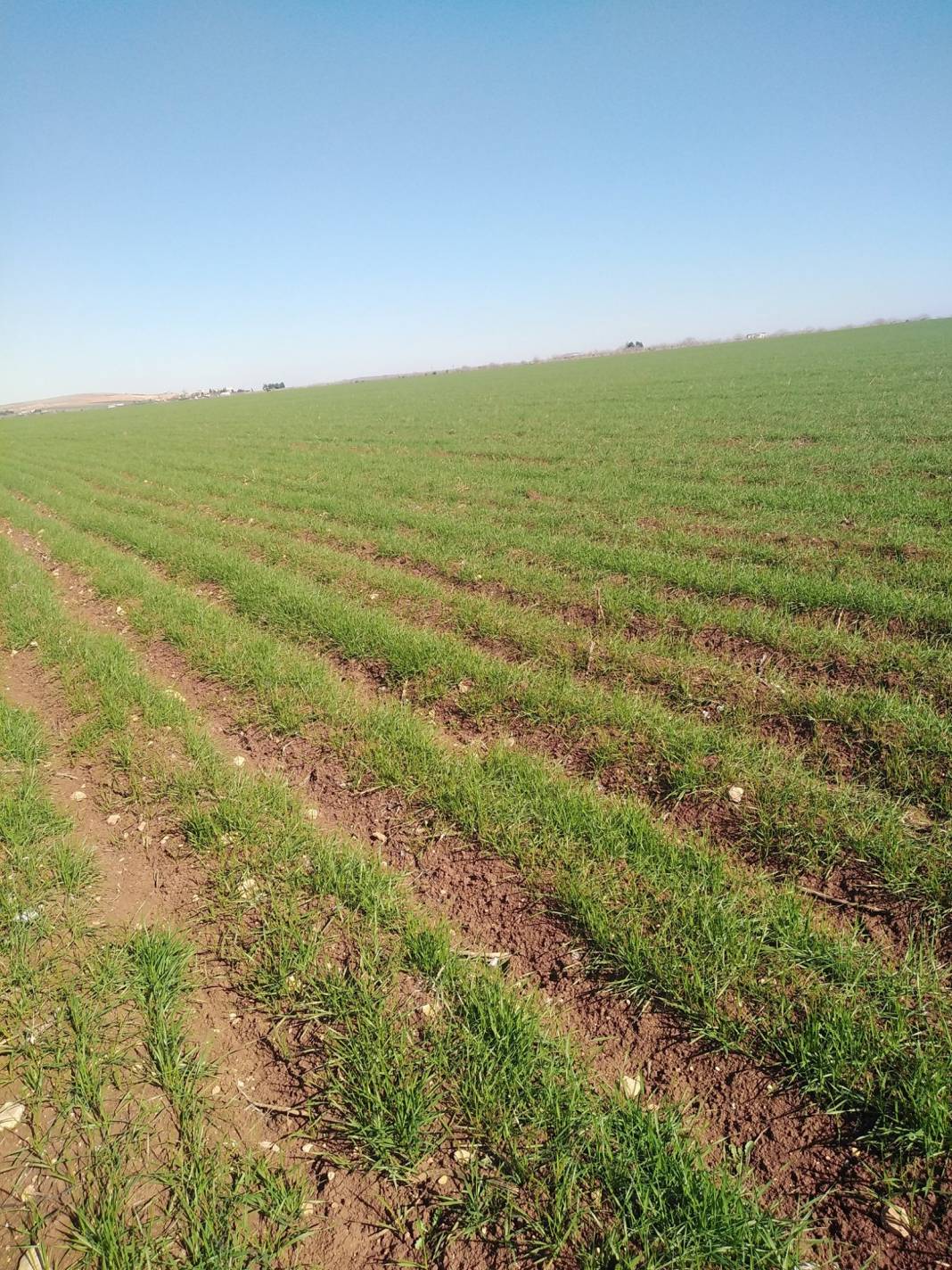 Oğuzeli Demirkonak Köyü Resimleri 6