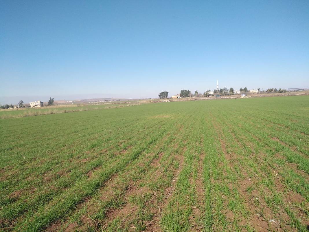 Oğuzeli Demirkonak Köyü Resimleri 7