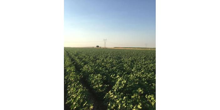 Oğuzeli Demirkonak Köyü Resimleri