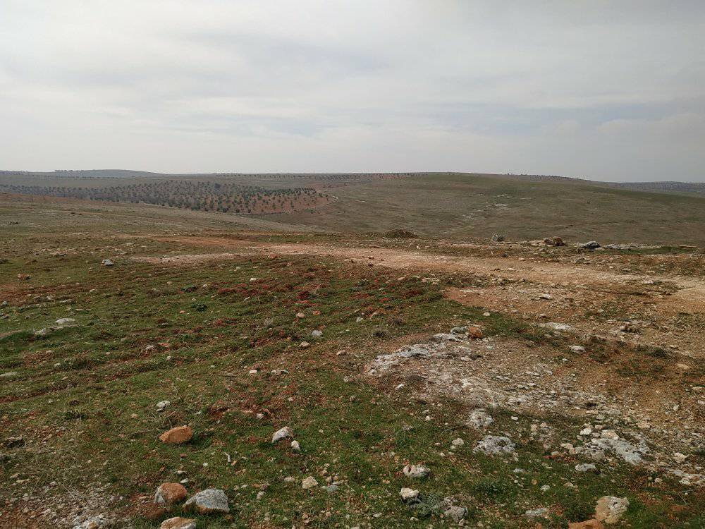 Oğuzeli Dikmetaş Köyü Resimleri 2