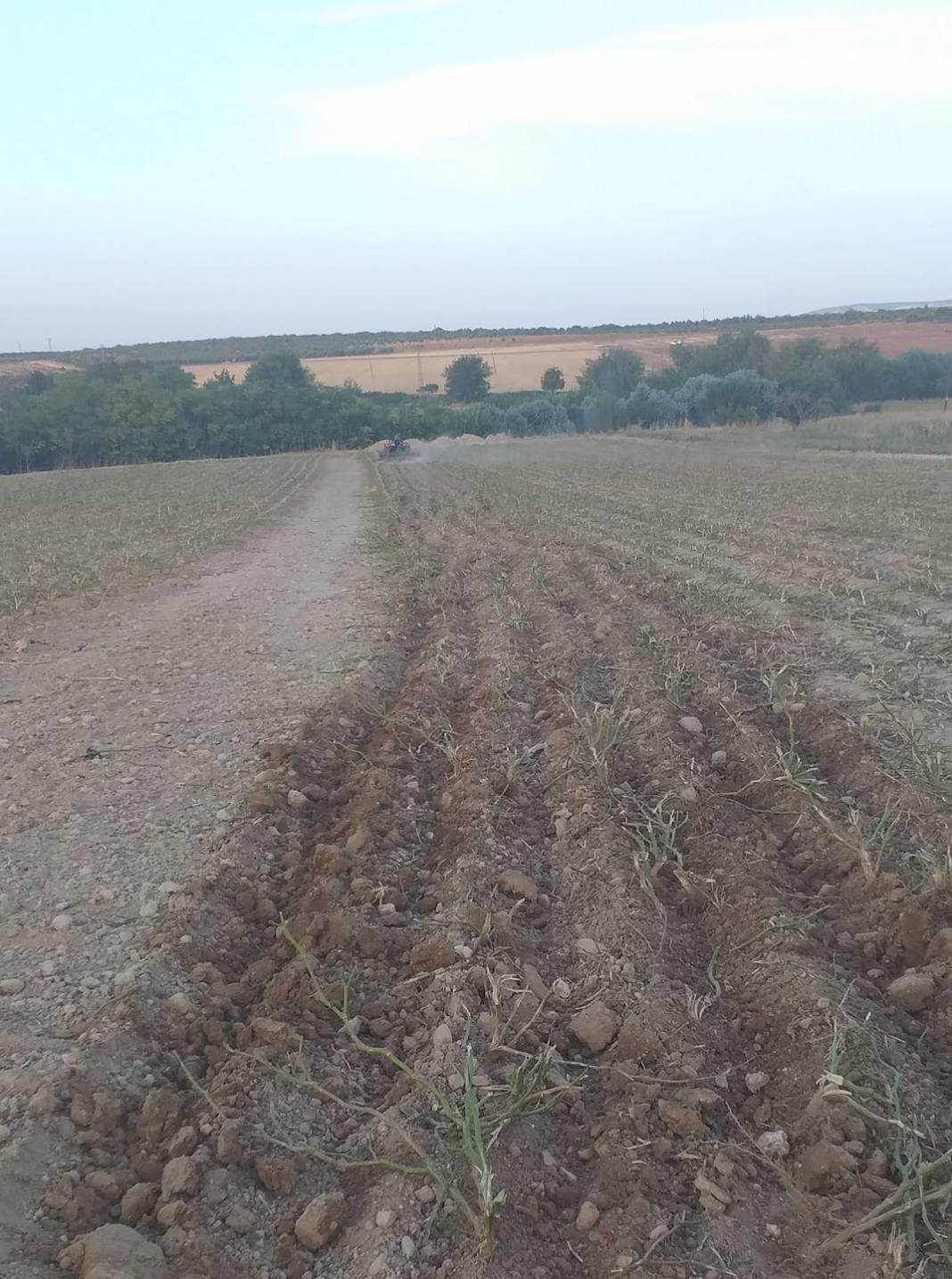 Oğuzeli Doğanpınar Köyü Resimleri 11