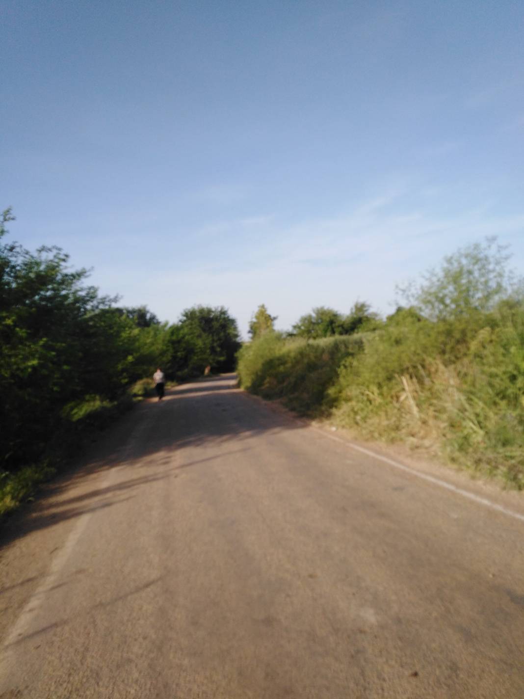 Oğuzeli Doğanpınar Köyü Resimleri 9