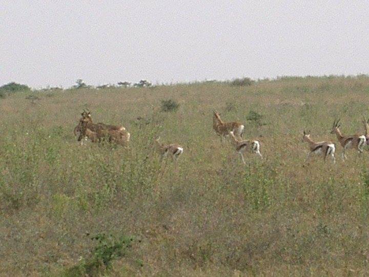 Oğuzeli Dokuzyol Köyü Resimleri 3
