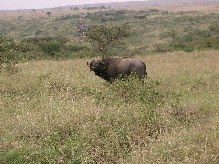 Oğuzeli Dokuzyol Köyü Resimleri 4