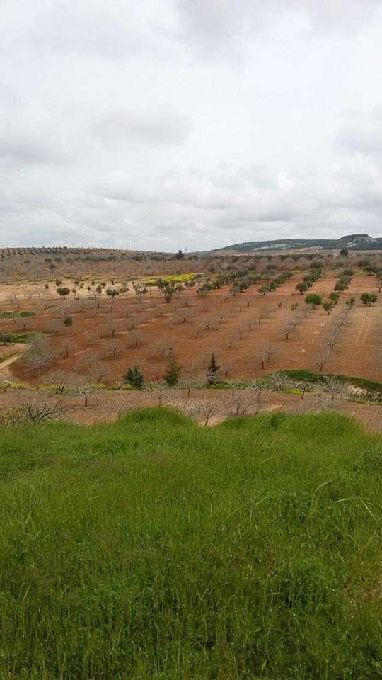Oğuzeli Dokuzyol Köyü Resimleri 8