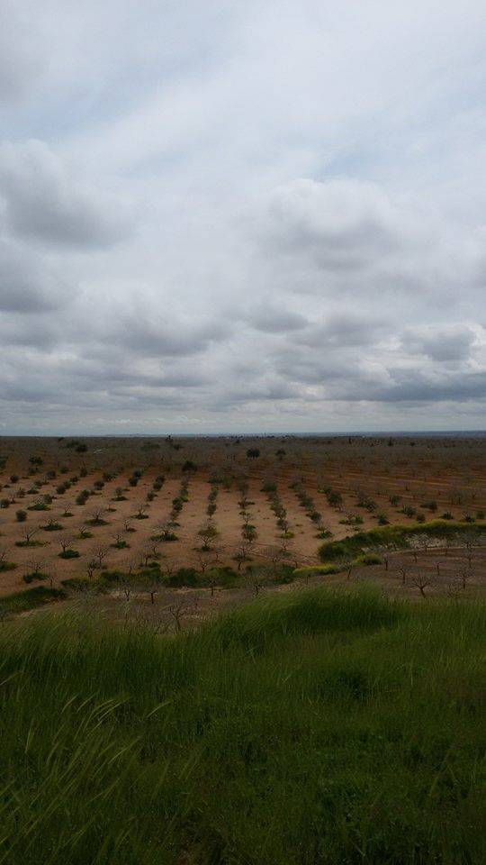 Oğuzeli Dokuzyol Köyü Resimleri 9