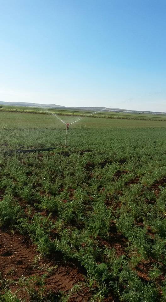 Oğuzeli Duruköy Köyü Resimleri 1