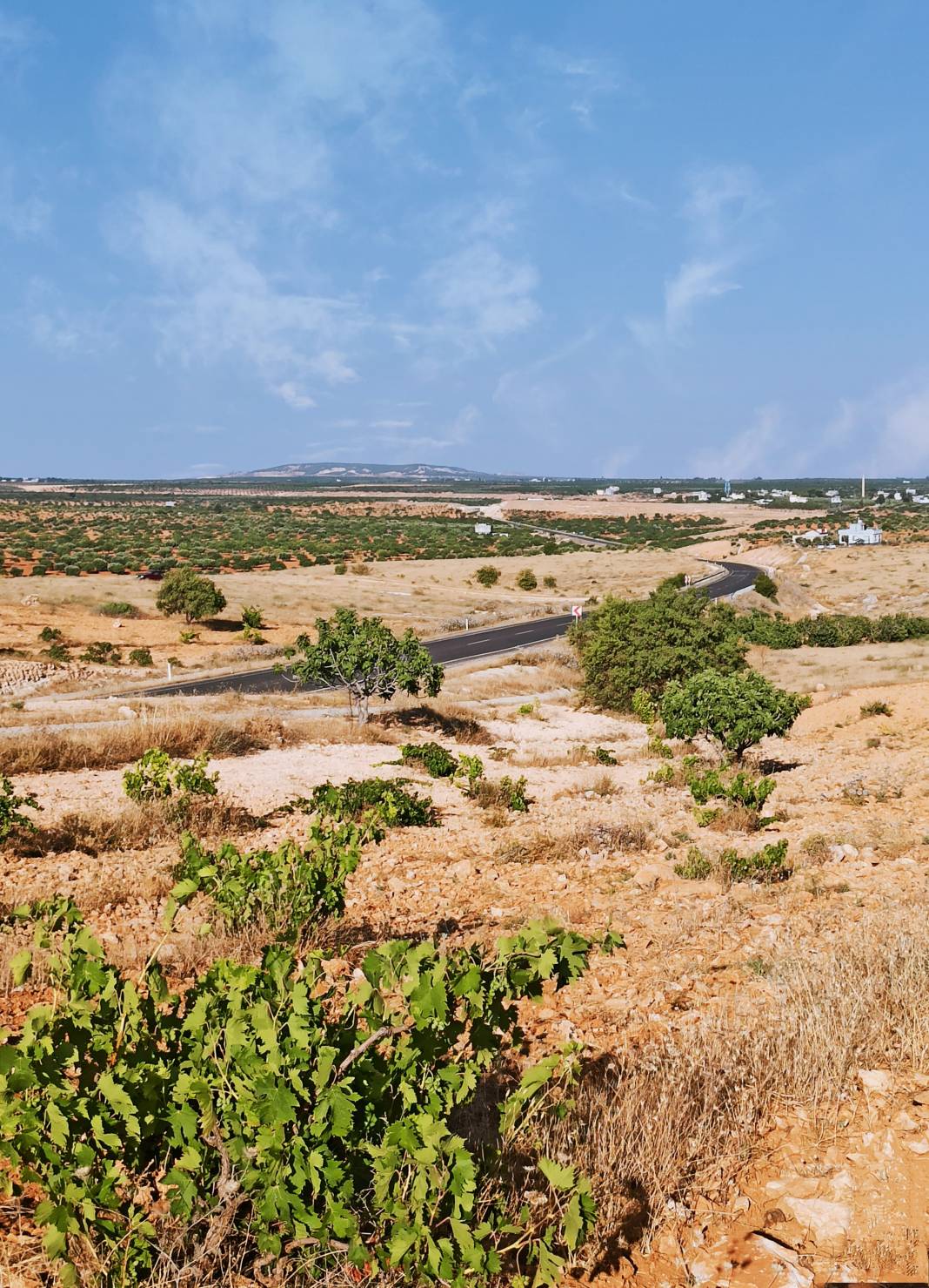 Oğuzeli Dutluca Köyü Resimleri 10