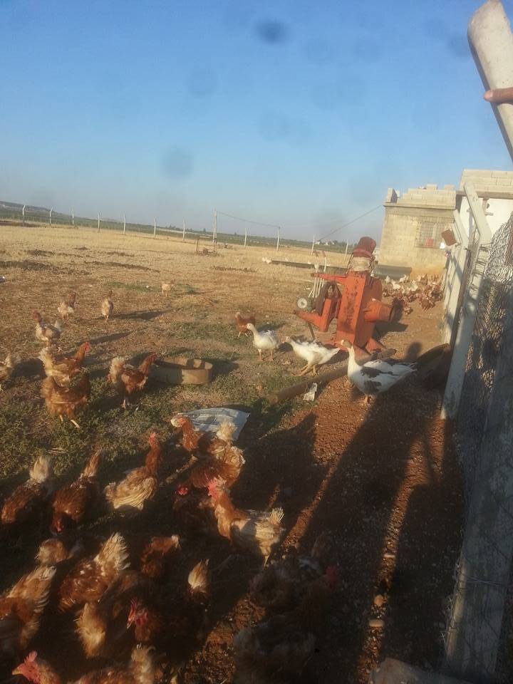 Oğuzeli Dutluca Köyü Resimleri 2