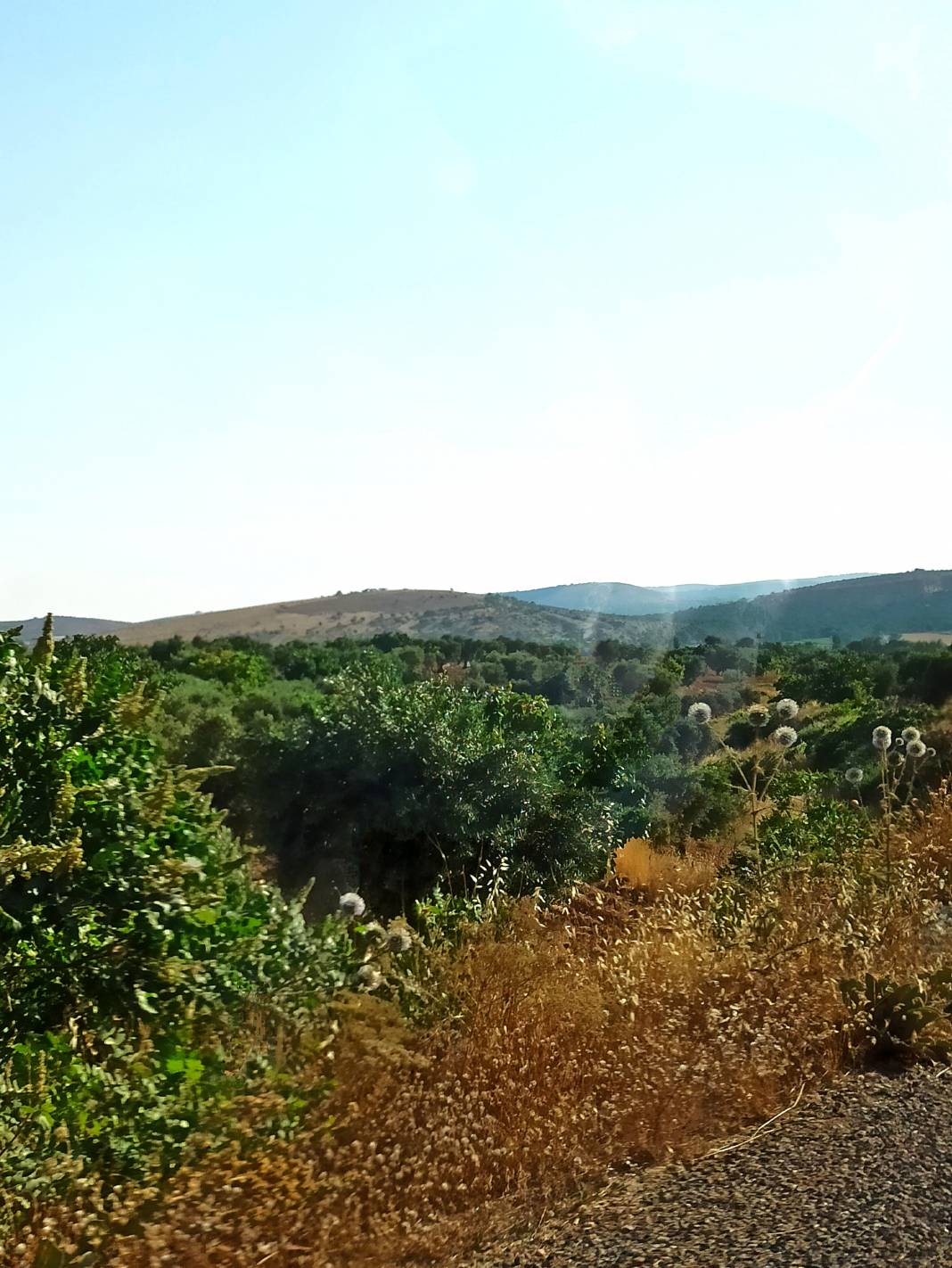 Oğuzeli Dutluca Köyü Resimleri 8