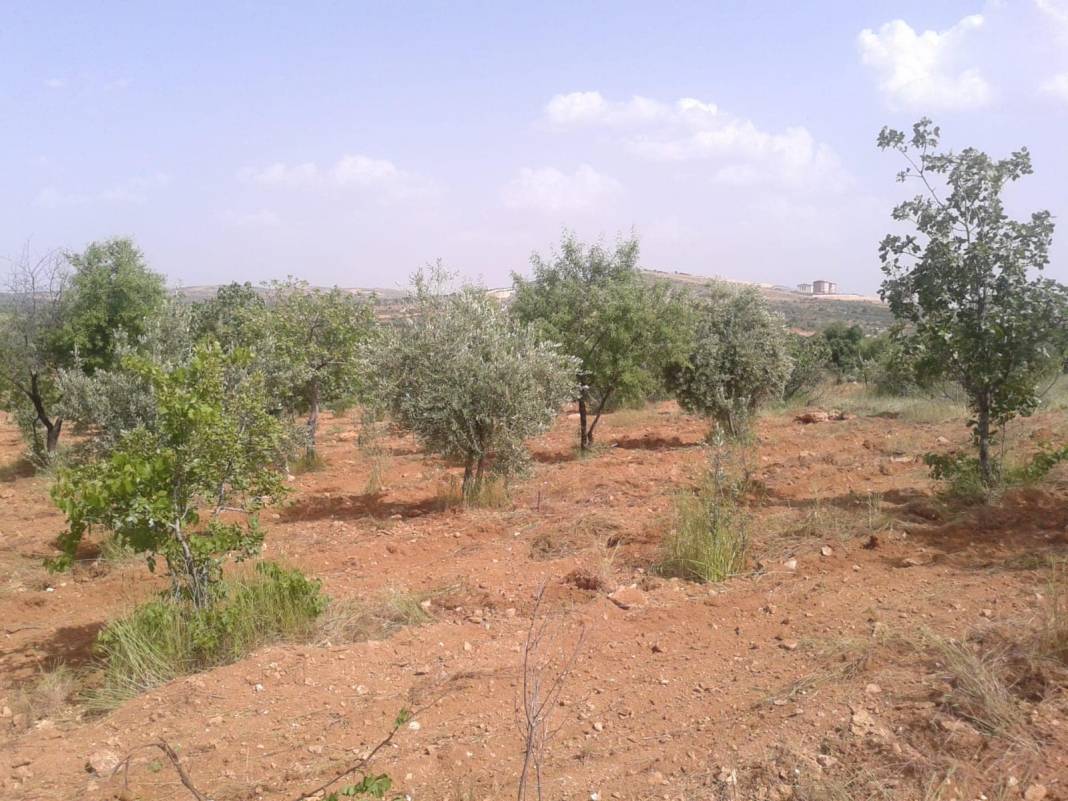 Oğuzeli Hacar Köyü Resimleri 1