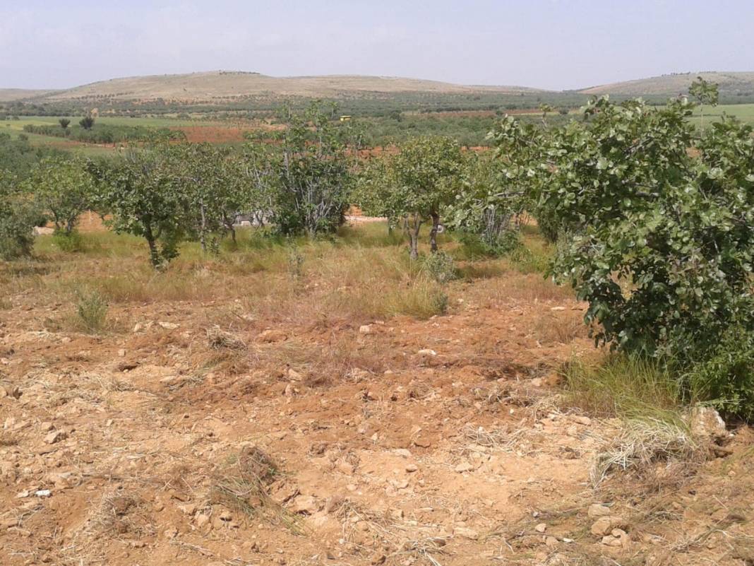 Oğuzeli Hacar Köyü Resimleri 3