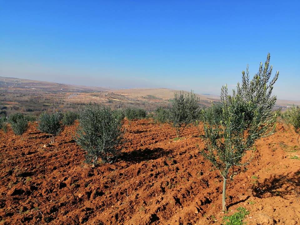 Oğuzeli Hacar Köyü Resimleri 5