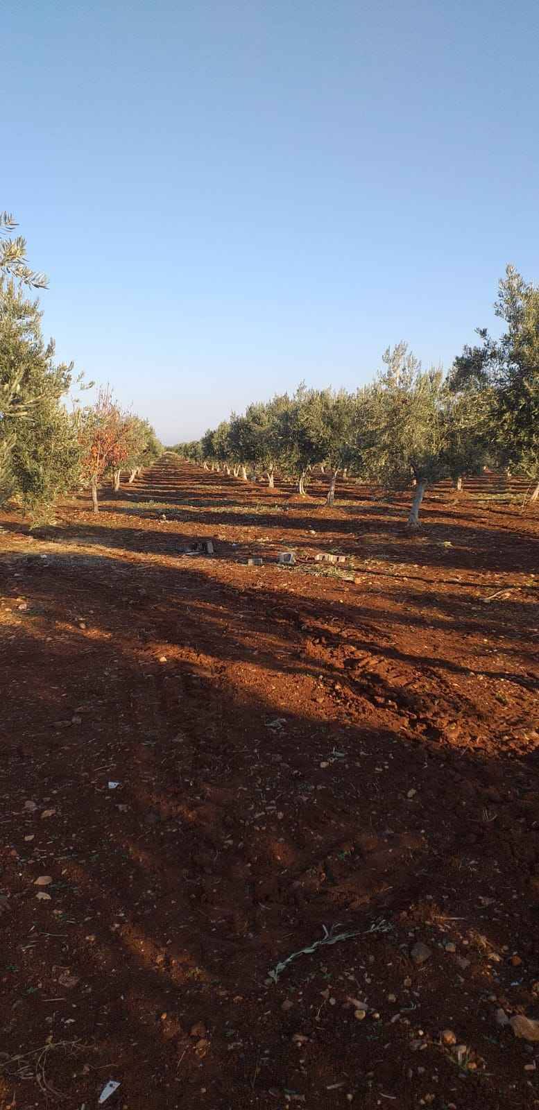 Oğuzeli İkizkuyu Köyü Resimleri 3